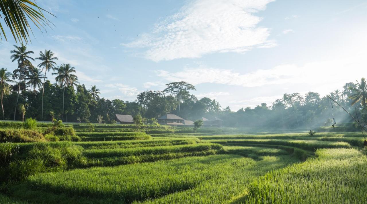 Benisari Batik Garden Cottage Ubud  Exterior photo