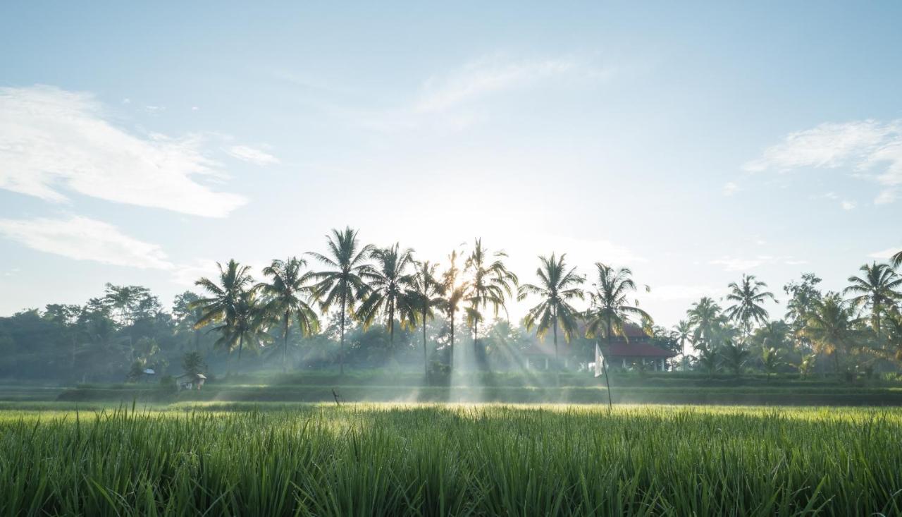 Benisari Batik Garden Cottage Ubud  Exterior photo